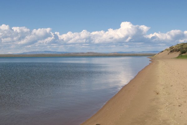 Кракен сайт войти