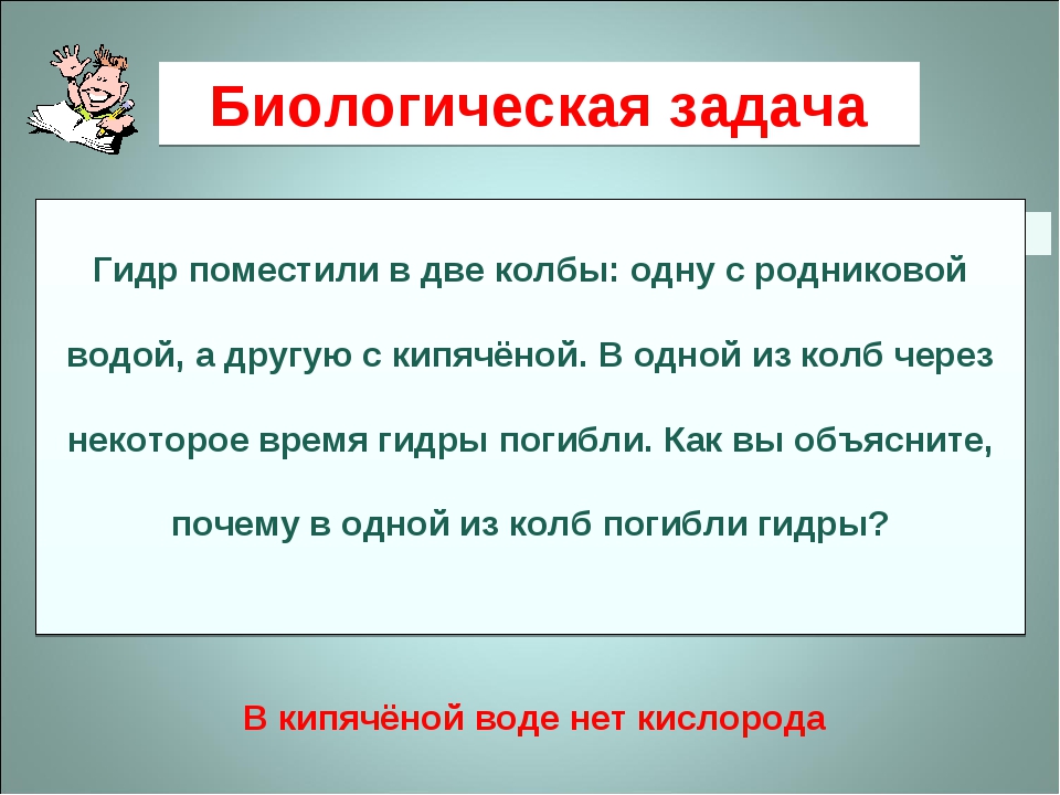 Кракен современный маркетплейс