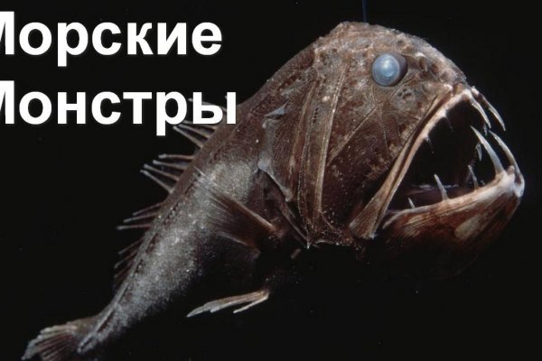 Что такое кракен маркет
